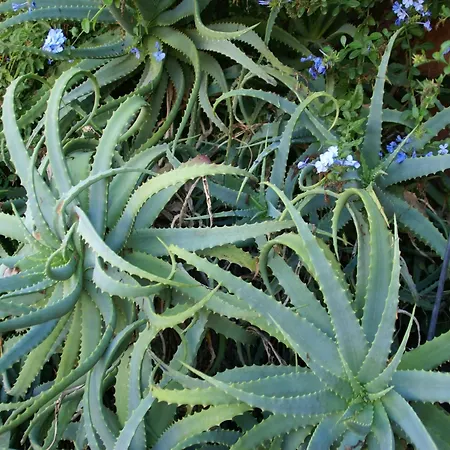 Charming In Poggio Mezzana Near Villa Santa-Lucia-di-Moriani